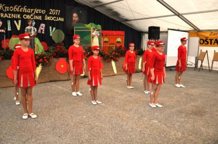 KNOBLEHARJEVO 2011 - Živ Žav 9